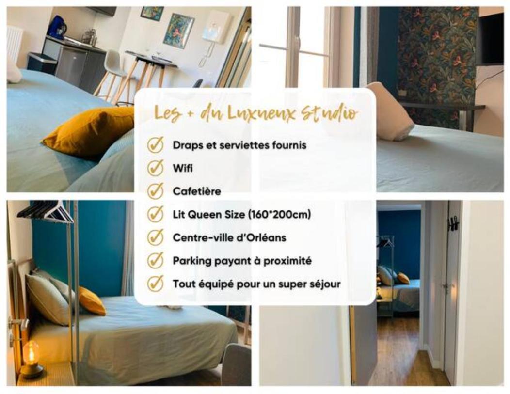 Luxueux Studio Rue Bannier Neuf Lejlighed Orléans Eksteriør billede