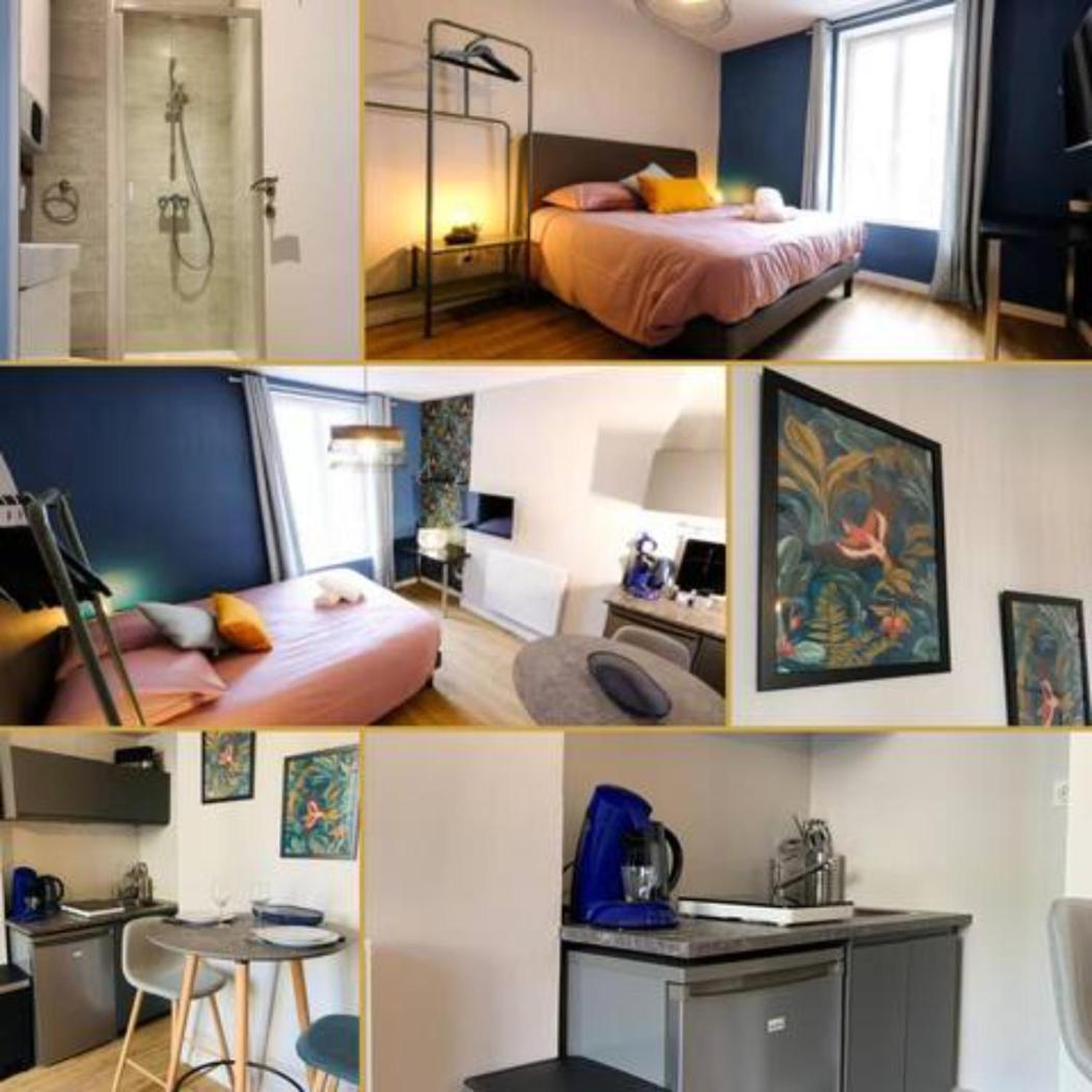 Luxueux Studio Rue Bannier Neuf Lejlighed Orléans Eksteriør billede